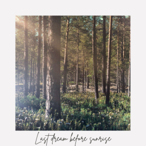 Last Dream Before Sunrise