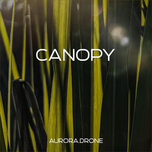 Canopy