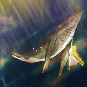 my friend whale