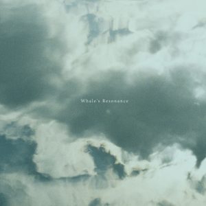 Whale’s Resonance