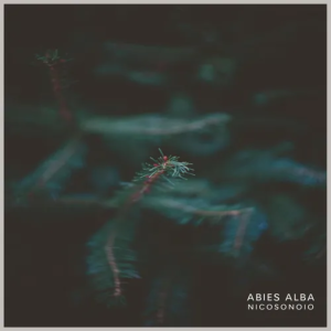 Abies Alba